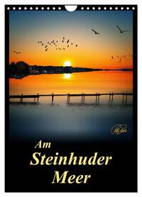 Am Steinhuder Meer / Planer (Wandkalender 2026 DIN A4 hoch), CALVENDO Monatskalender