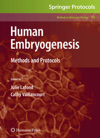 Vorderes Coverbild Human Embryogenesis