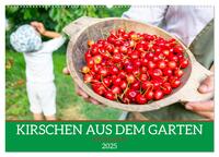 Kirschen aus dem Garten – Erntekalender (Wandkalender 2025 DIN A2 quer), CALVENDO Monatskalender