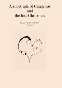 A short tale of Candy cat and the lost Christmas