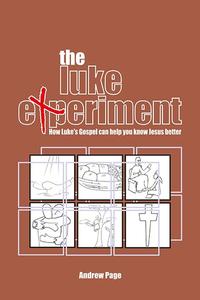 Vorderes Coverbild The Luke Experiment