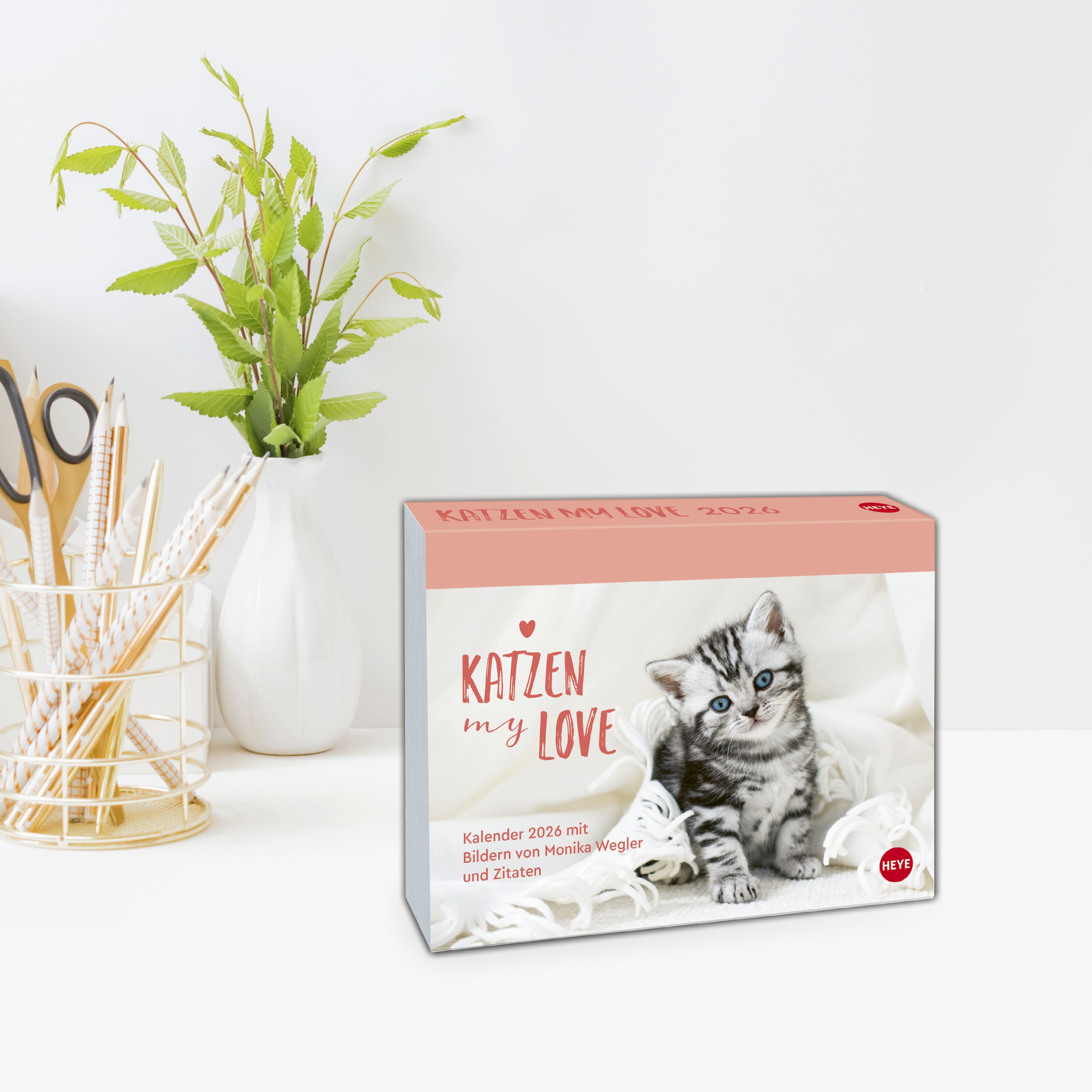 Katzen my love Tagesabreißkalender 2026