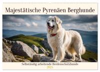 Majestätische Pyrenäen Berghunde (Wandkalender 2025 DIN A2 quer), CALVENDO Monatskalender