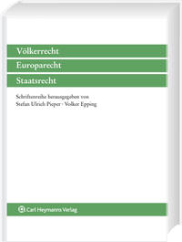 Verbrechen gegen die Menschlichkeit durch nicht staatliche Akteure
