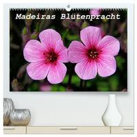 Madeiras Blütenpracht (hochwertiger Premium Wandkalender 2025 DIN A2 quer), Kunstdruck in Hochglanz