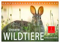 Unsere Wildtiere - scheu und schön (Tischkalender 2025 DIN A5 quer), CALVENDO Monatskalender