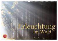Erleuchtung im Wald (Wandkalender 2026 DIN A2 quer), CALVENDO Monatskalender