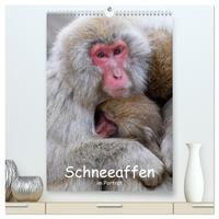 Schneeaffen im Portträt (hochwertiger Premium Wandkalender 2025 DIN A2 hoch), Kunstdruck in Hochglanz