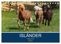 Isländer - icelandic horses (Tischkalender 2025 DIN A5 quer), CALVENDO Monatskalender