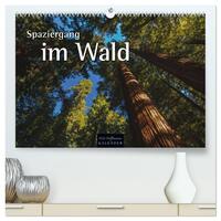 Spaziergang im Wald (hochwertiger Premium Wandkalender 2026 DIN A2 quer), Kunstdruck in Hochglanz