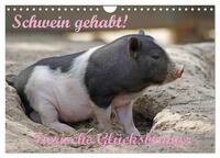 Schwein gehabt! (Wandkalender 2026 DIN A4 quer), CALVENDO Monatskalender