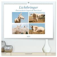 Lichtbringer - Österreichisch-Ungarische Barockesel (hochwertiger Premium Wandkalender 2025 DIN A2 quer), Kunstdruck in Hochglanz