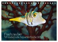 Fischzauber - Wundervolle Aquarienfische (Tischkalender 2025 DIN A5 quer), CALVENDO Monatskalender