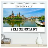 Ein Blick auf Seligenstadt (hochwertiger Premium Wandkalender 2026 DIN A2 quer), Kunstdruck in Hochglanz