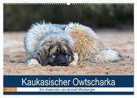 Kaukasischer Owtscharka (Wandkalender 2026 DIN A2 quer), CALVENDO Monatskalender