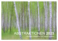 ABSTRAKTIONEN 2025 (Wandkalender 2025 DIN A2 quer), CALVENDO Monatskalender