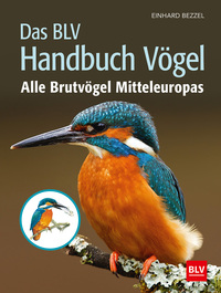 Das BLV Handbuch Vögel
