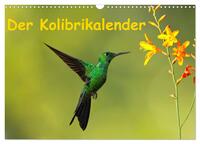 Der Kolibrikalender (Wandkalender 2026 DIN A3 quer), CALVENDO Monatskalender