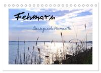 Fehmarn - Bewegende Momente (Tischkalender 2025 DIN A5 quer), CALVENDO Monatskalender