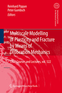 Multiscale Modelling of Plasticity and Fracture by Means of Dislocation Mechanics