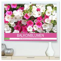 Balkonblumen. Die Blütenpracht für Blumenkästen (hochwertiger Premium Wandkalender 2025 DIN A2 quer), Kunstdruck in Hochglanz