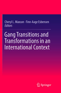 Gang Transitions and Transformations in an International Context