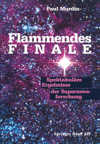 Vorderes Coverbild Flammendes Finale