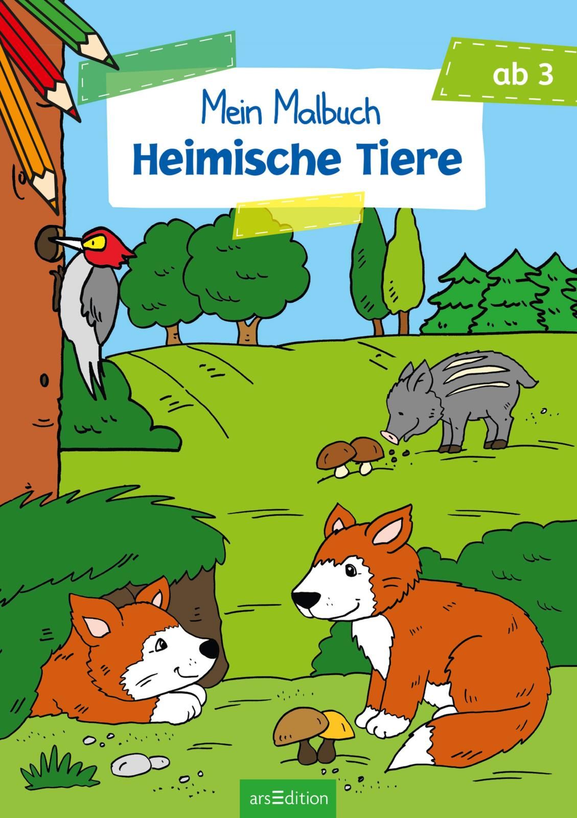 Malbuch ab 3 Jahren - Heimische Tiere VE 5