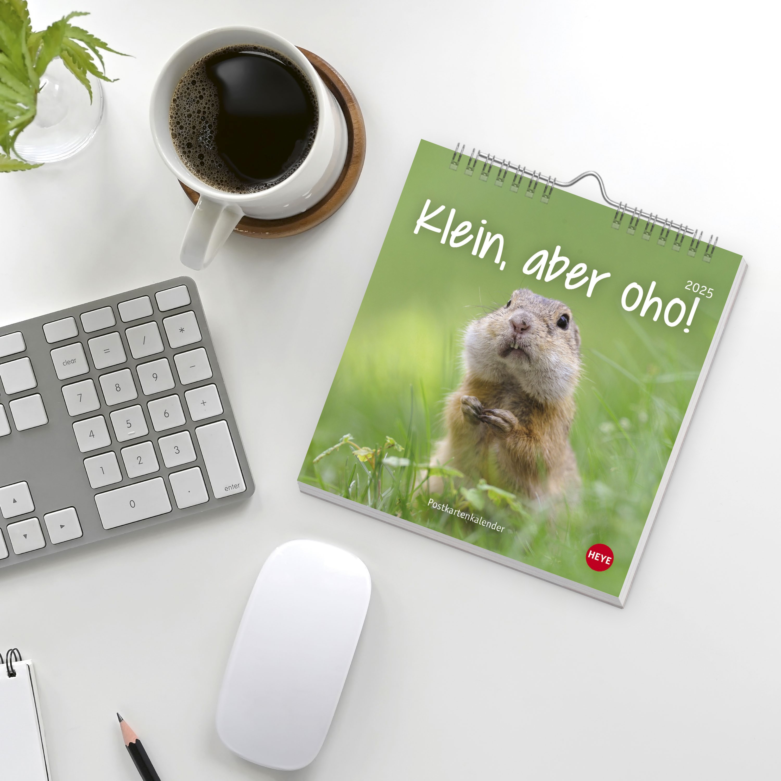 Klein, aber oho! Postkartenkalender 2025