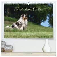 Fantastische Collies - Sieger der Herzen (hochwertiger Premium Wandkalender 2026 DIN A2 quer), Kunstdruck in Hochglanz