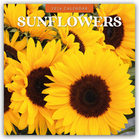 Sunflowers – Sonnenblumen 2026 – 16-Monatskalender