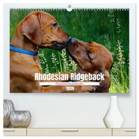 Rhodesian Ridgeback, Charmante Herzensbrecher (hochwertiger Premium Wandkalender 2026 DIN A2 quer), Kunstdruck in Hochglanz