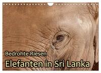 Bedrohte Riesen - Elefanten in Sri Lanka (Wandkalender 2026 DIN A4 quer), CALVENDO Monatskalender