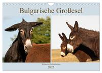 Bulgarische Großesel - Schwarze Schönheiten (Wandkalender 2025 DIN A4 quer), CALVENDO Monatskalender