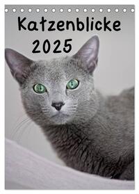 Katzenblicke 2025 (Tischkalender 2025 DIN A5 hoch), CALVENDO Monatskalender