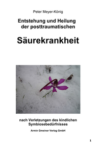 Vorderes Coverbild Entstehung und Heilung der posttraumatischen Säurekrankheit
