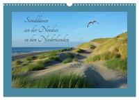 Sanddünen an der Nordsee in den Niederlanden (Wandkalender 2026 DIN A3 quer), CALVENDO Monatskalender