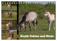 Mutterliebe - Konik Fohlen und Stute (Tischkalender 2026 DIN A5 quer), CALVENDO Monatskalender
