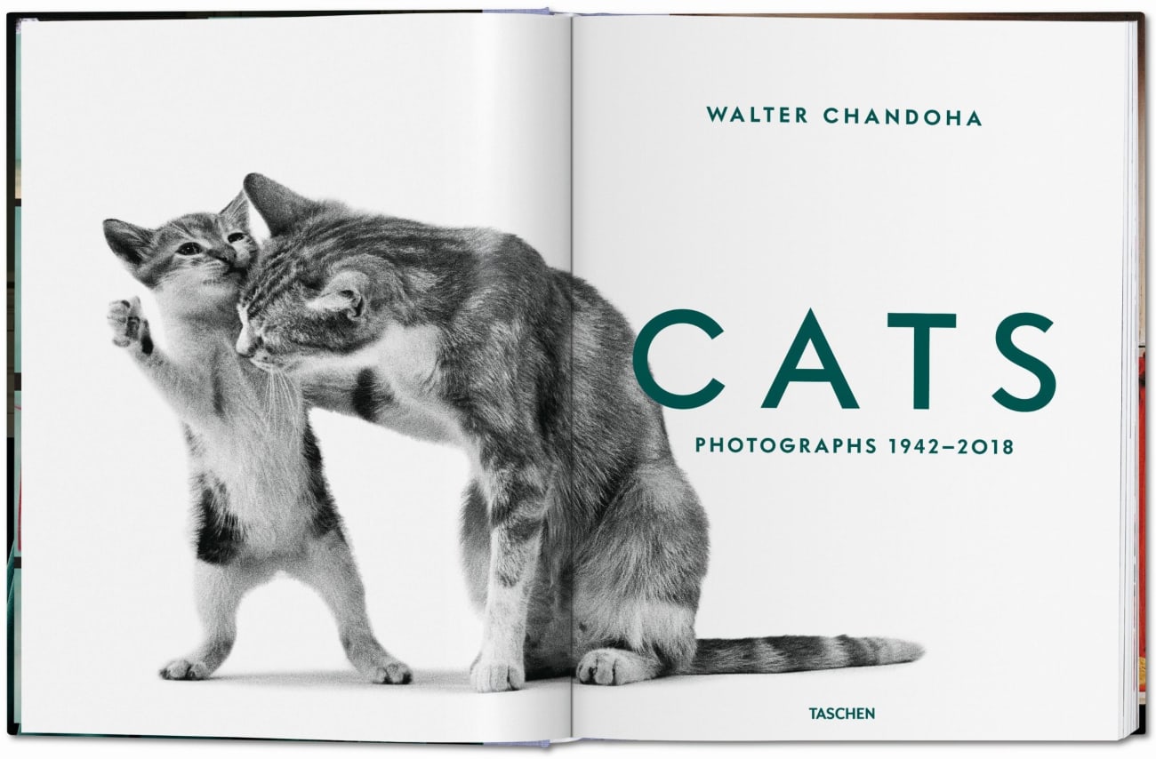 Beispielinhalt (Bild) Walter Chandoha. Cats. Photographs 1942–2018