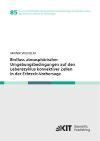 Einfluss atmosphärischer Umgebungsbedingungen auf den Lebenszyklus konvektiver Zellen in der Echtzeit-Vorhersage