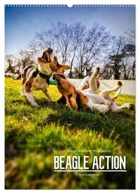 Beagle Action - Wilde Kuscheltiere (Wandkalender 2025 DIN A2 hoch), CALVENDO Monatskalender