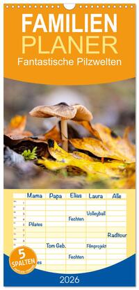 Familienplaner 2026 - Fantastische Pilzwelten mit 5 Spalten (Wandkalender, 21 x 45 cm) CALVENDO