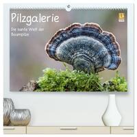 Pilzgalerie - Die bunte Welt der Baumpilze (hochwertiger Premium Wandkalender 2026 DIN A2 quer), Kunstdruck in Hochglanz