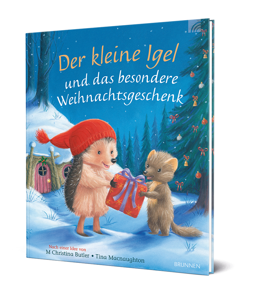 Der kleine Igel und das besondere Weihnachtsgeschenk