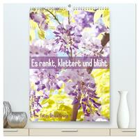 Es rankt, klettert und blüht (hochwertiger Premium Wandkalender 2026 DIN A2 hoch), Kunstdruck in Hochglanz