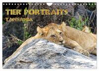 Tier Portraits Tansania (Wandkalender 2025 DIN A4 quer), CALVENDO Monatskalender