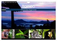 Borneo - Tierparadies Regenwald (Wandkalender 2025 DIN A4 quer), CALVENDO Monatskalender