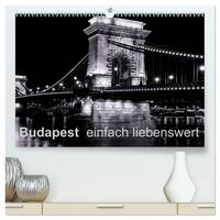 Budapest einfach liebenswert (hochwertiger Premium Wandkalender 2025 DIN A2 quer), Kunstdruck in Hochglanz