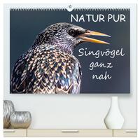 NATUR PUR - Singvögel ganz nah (hochwertiger Premium Wandkalender 2025 DIN A2 quer), Kunstdruck in Hochglanz