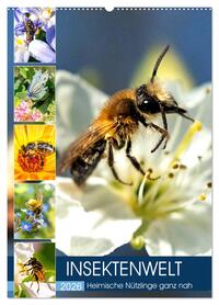 INSEKTENWELT - Heimische Nützlinge ganz nah (Wandkalender 2026 DIN A2 hoch), CALVENDO Monatskalender